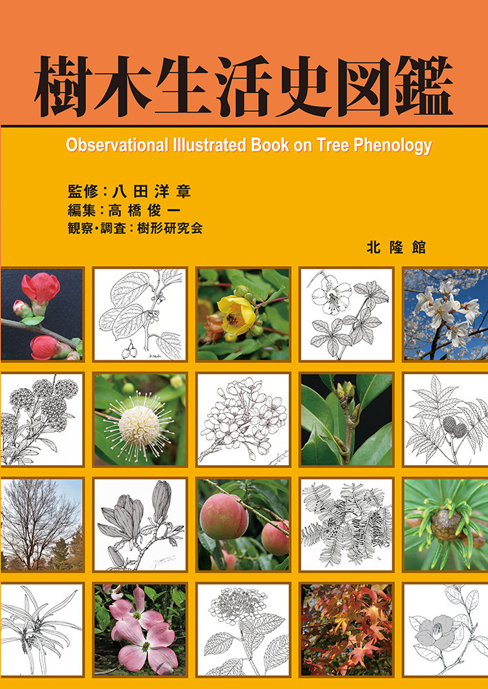 新分類 牧野日本植物図鑑 – 北隆館WEBサイト