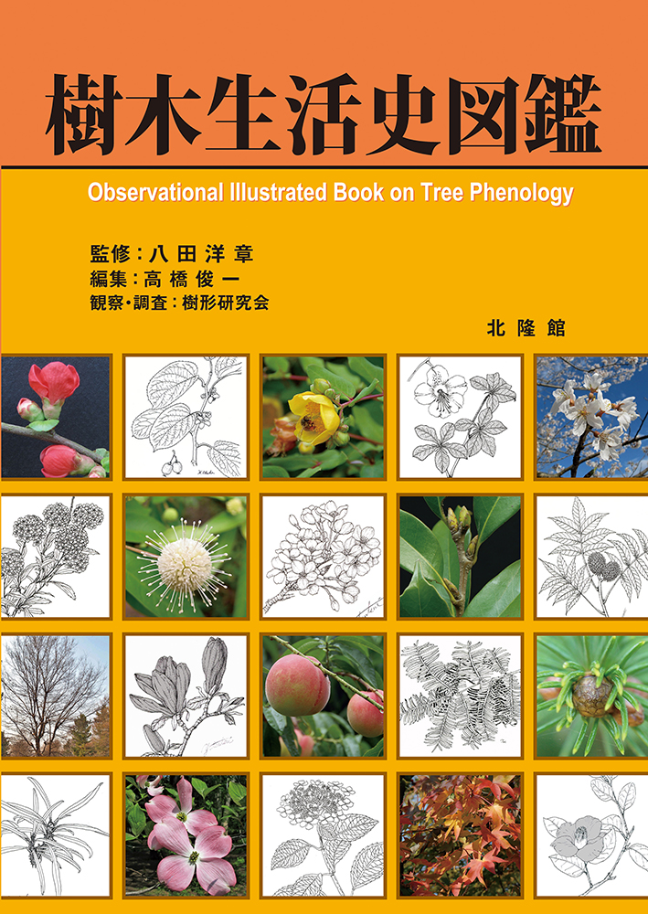 北隆館発行 原色牧野植物大図鑑二冊・原色牧野和漢薬草大図鑑 - 本