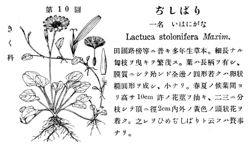 植物図鑑