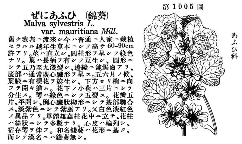 植物図鑑