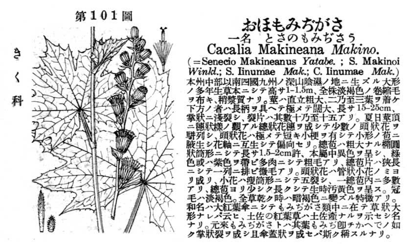 植物図鑑
