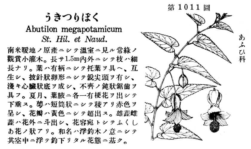 植物図鑑