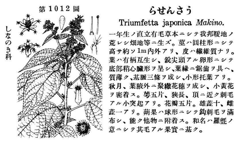 植物図鑑