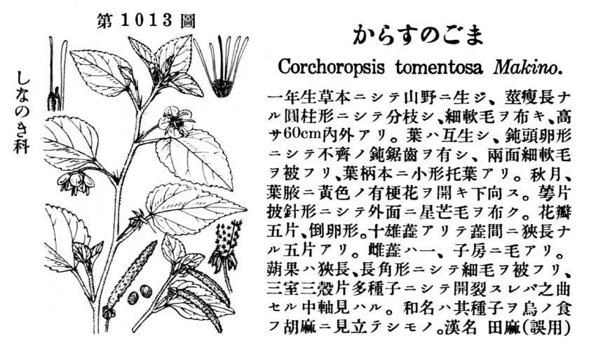 植物図鑑