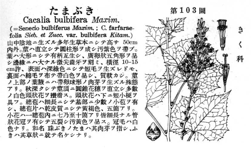 植物図鑑
