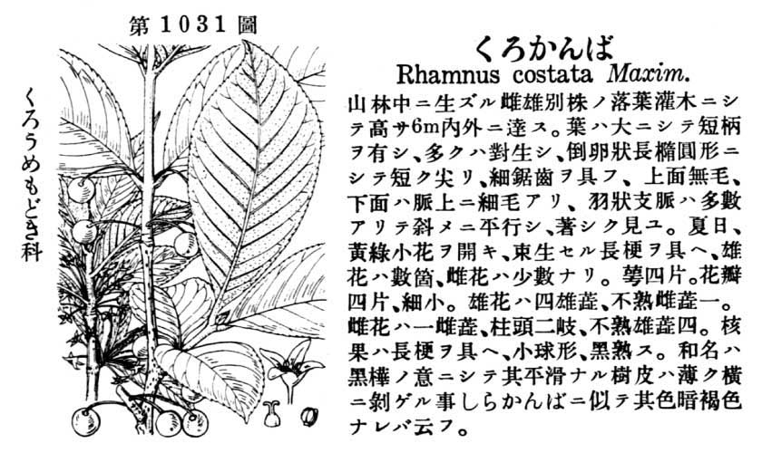 植物図鑑