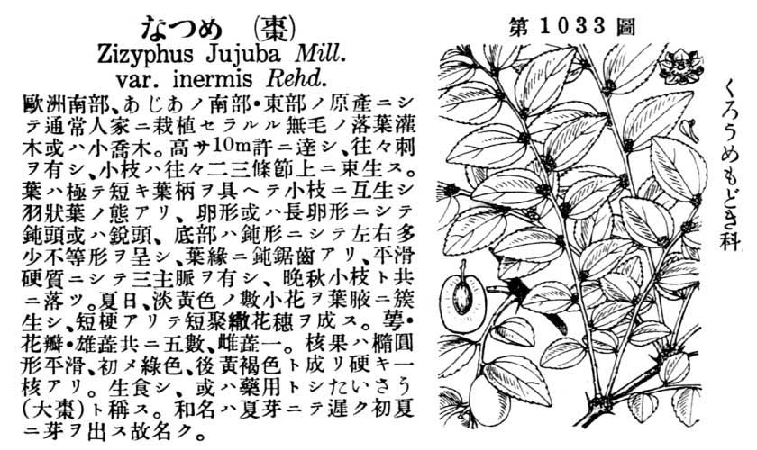 植物図鑑