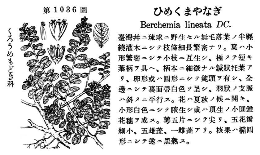 植物図鑑