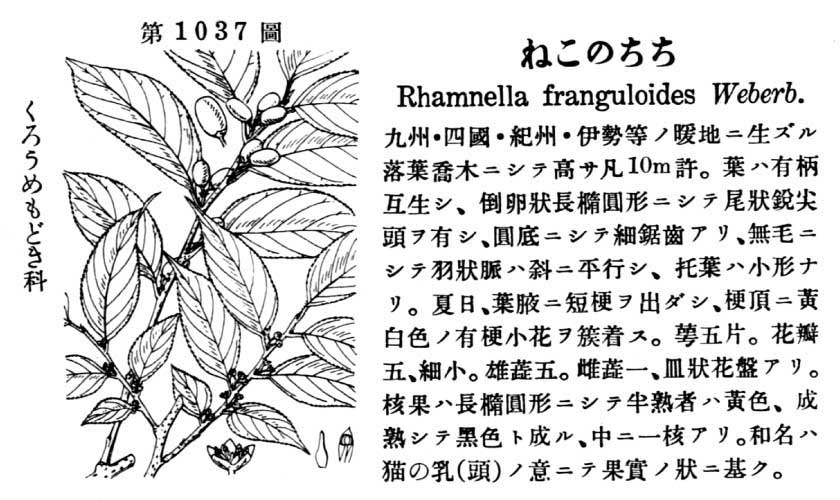 植物図鑑