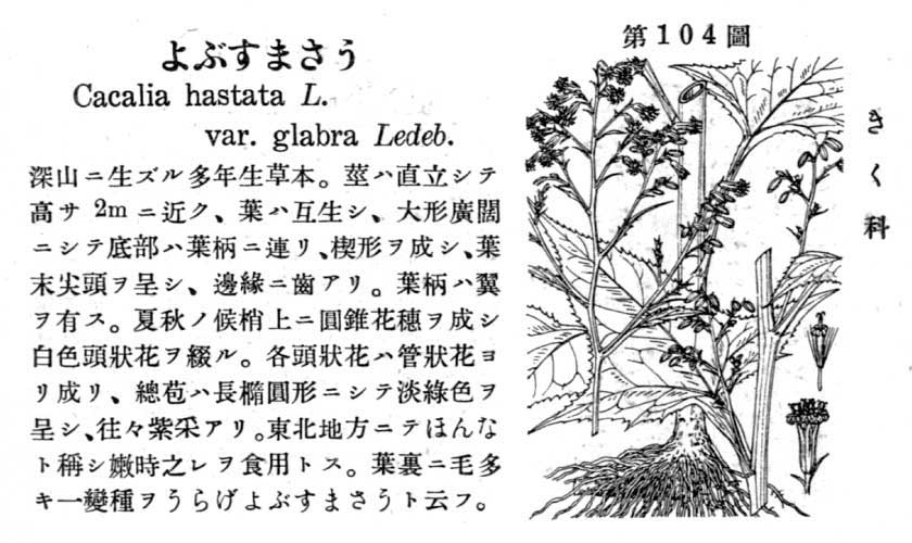 植物図鑑