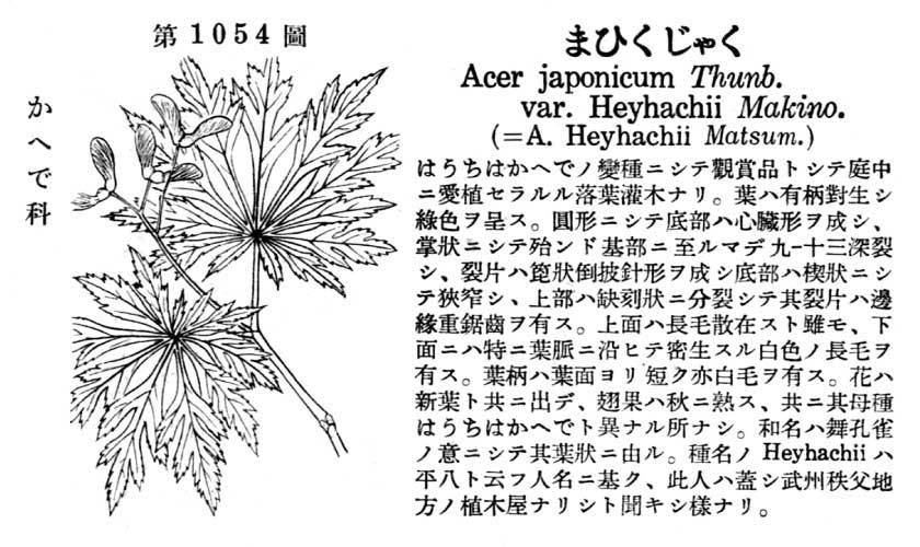 植物図鑑