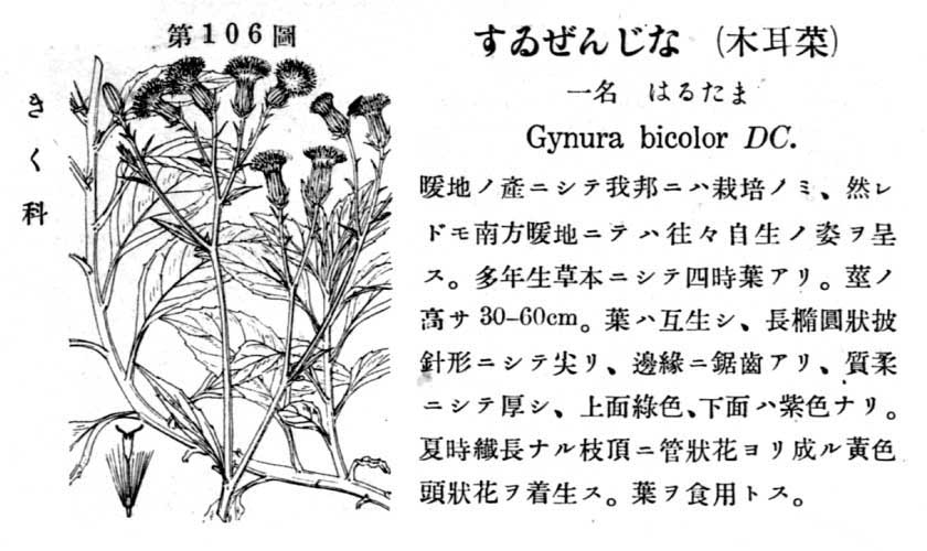 植物図鑑