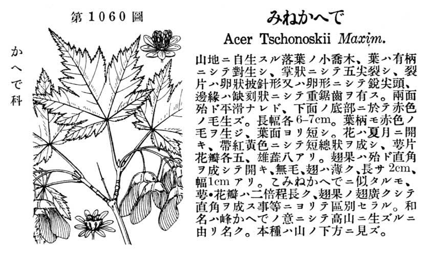 植物図鑑