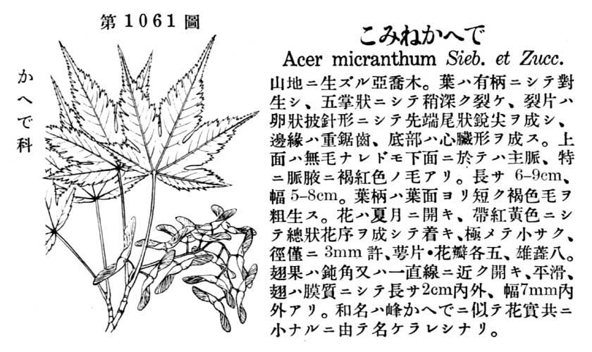 植物図鑑