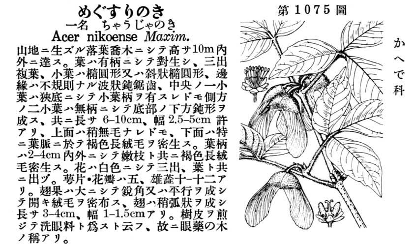 植物図鑑