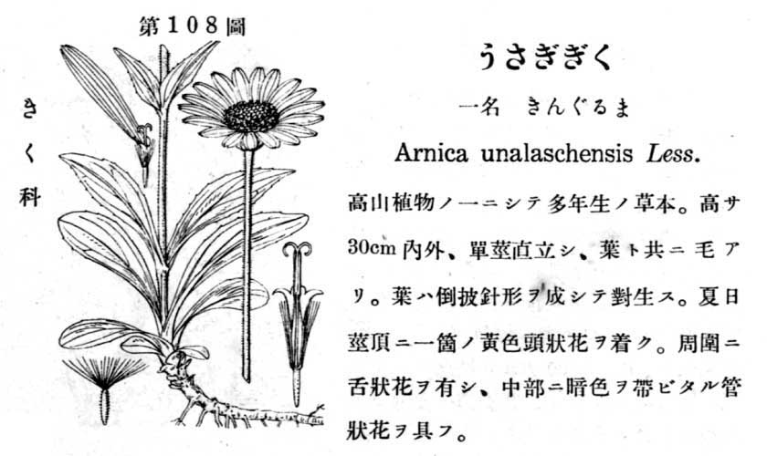 植物図鑑