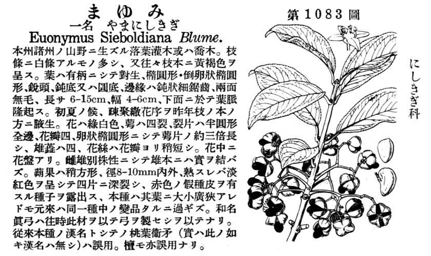 植物図鑑