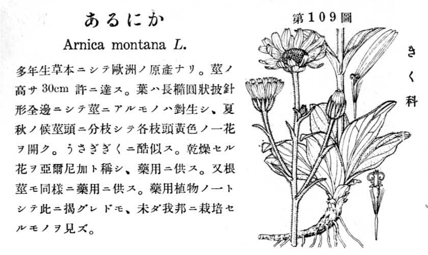 植物図鑑