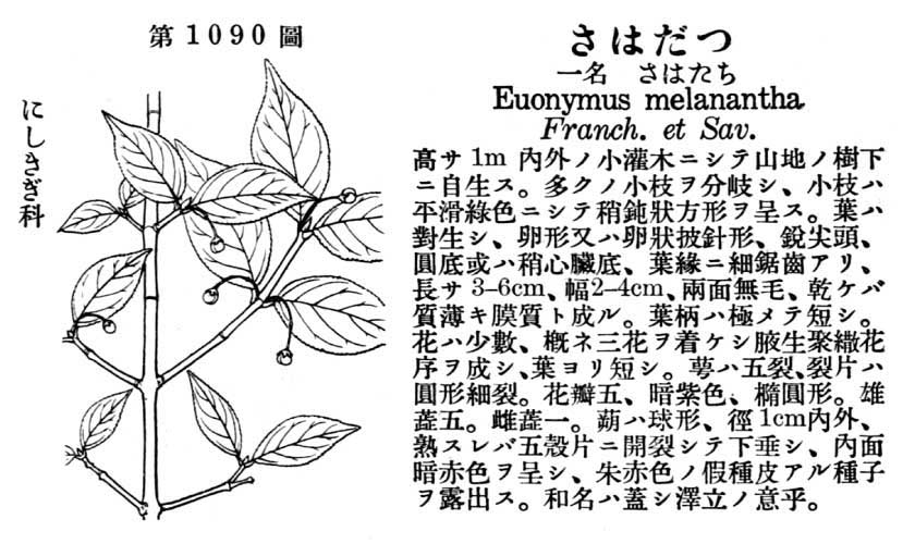 植物図鑑