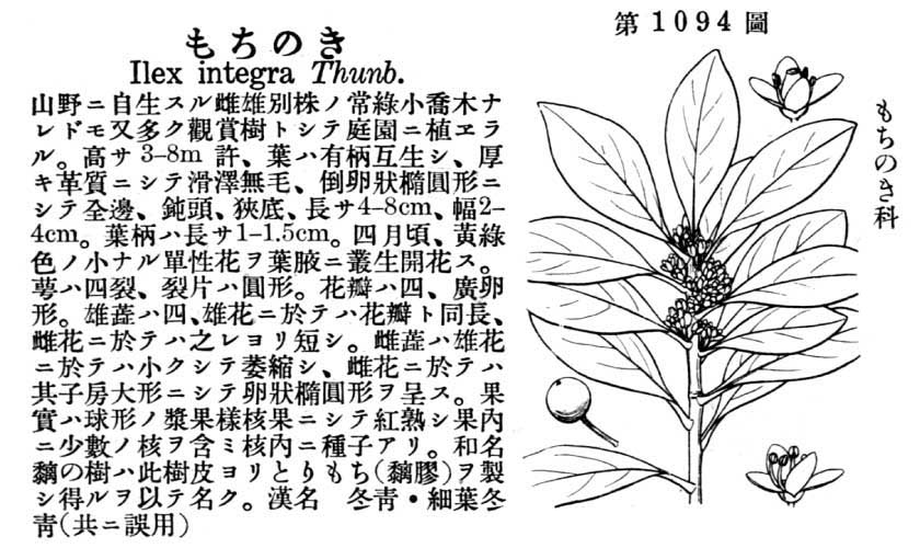 植物図鑑