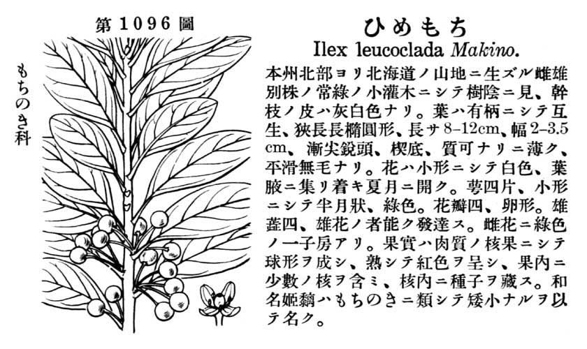 植物図鑑