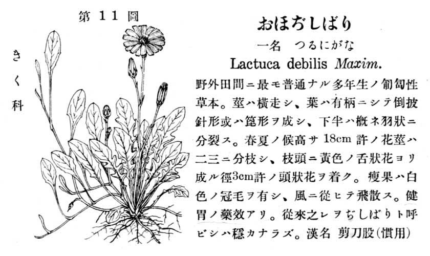 植物図鑑