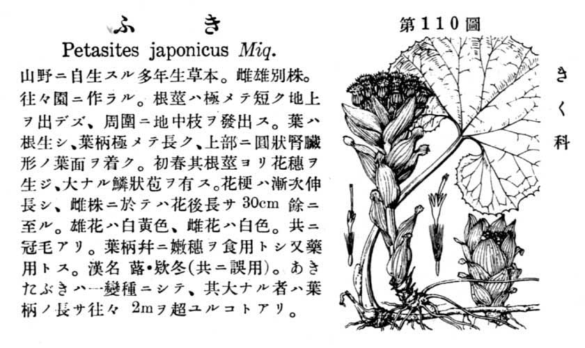 植物図鑑