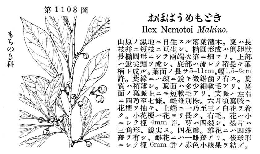 植物図鑑