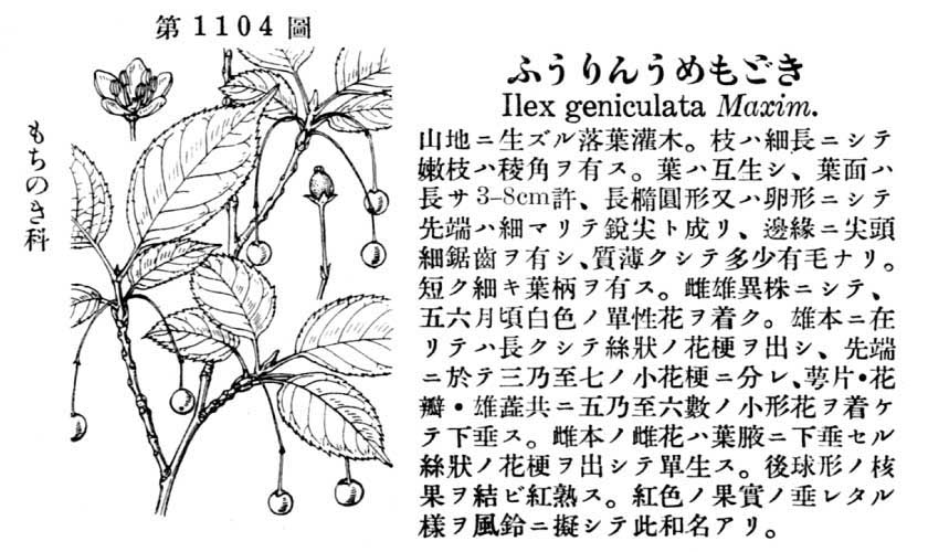 植物図鑑