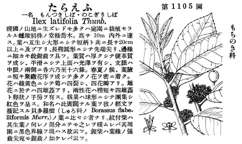 植物図鑑