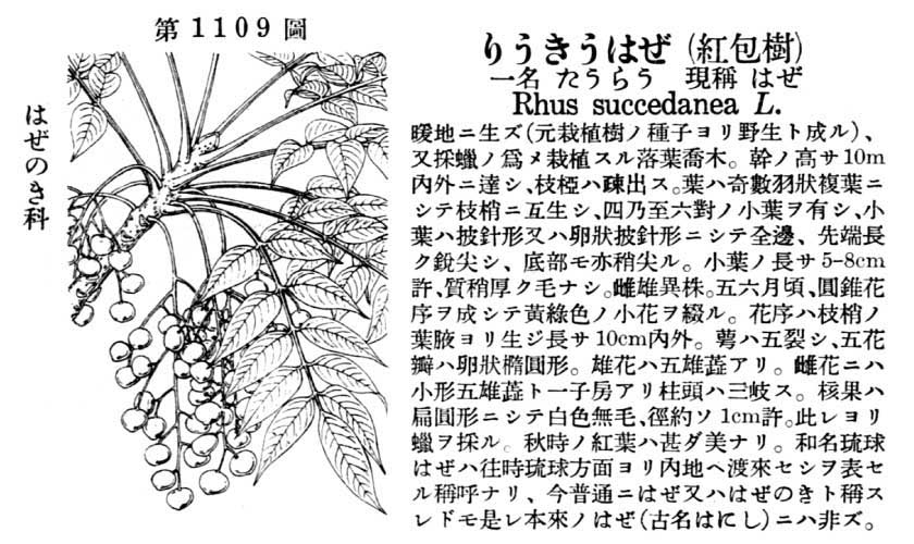 植物図鑑