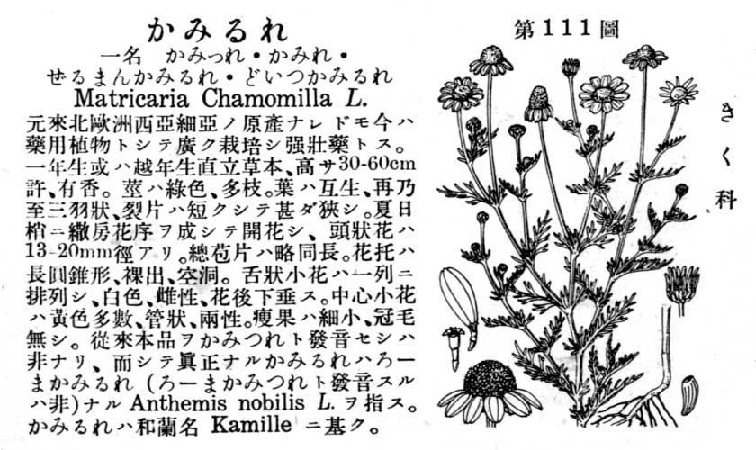 植物図鑑