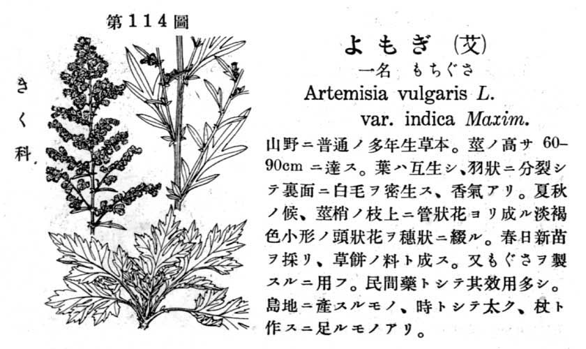 植物図鑑