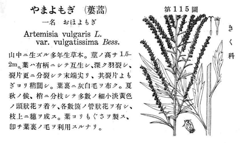植物図鑑