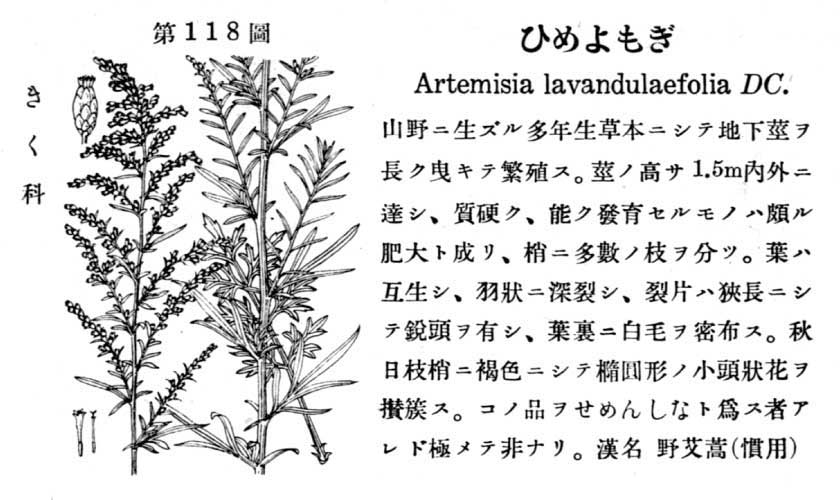 植物図鑑