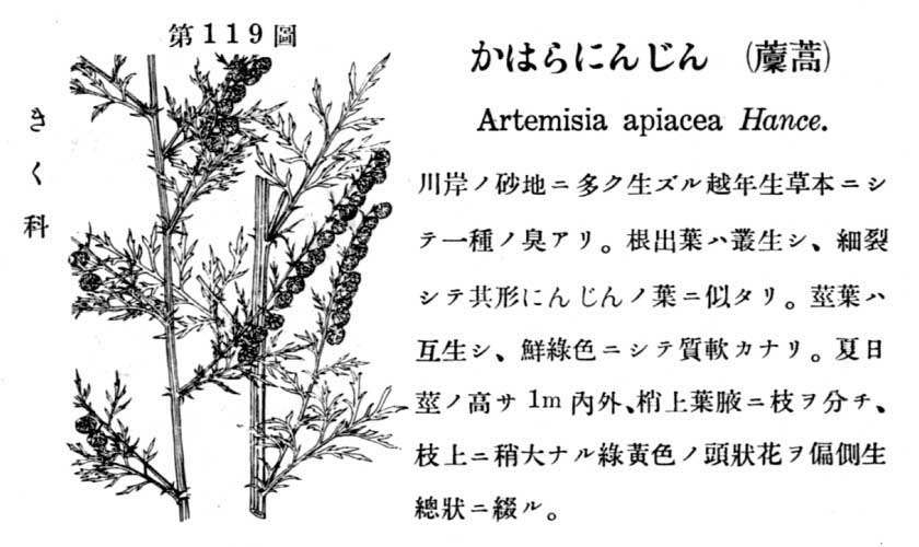 植物図鑑