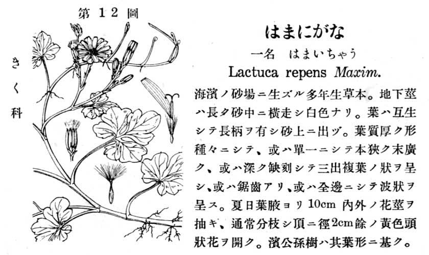 植物図鑑