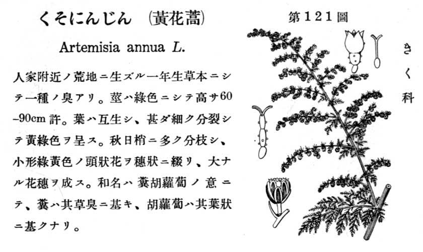 植物図鑑