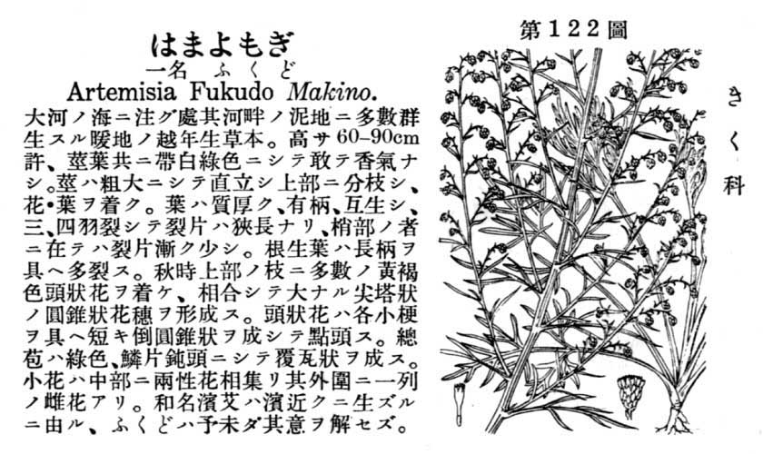 植物図鑑