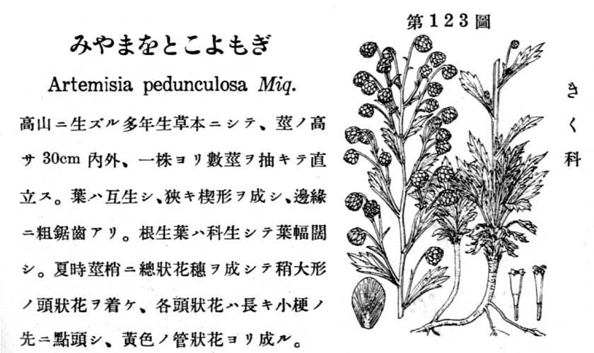 植物図鑑