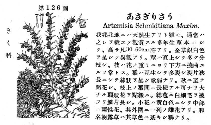 植物図鑑
