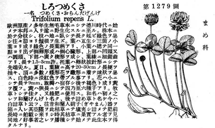 植物図鑑