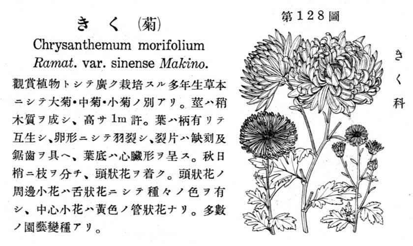 植物図鑑
