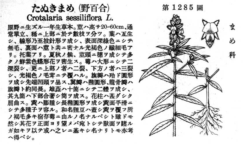 植物図鑑