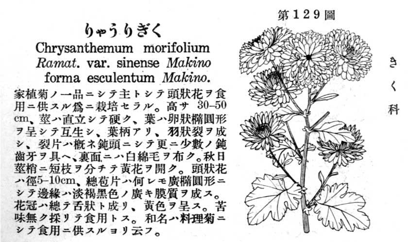 植物図鑑