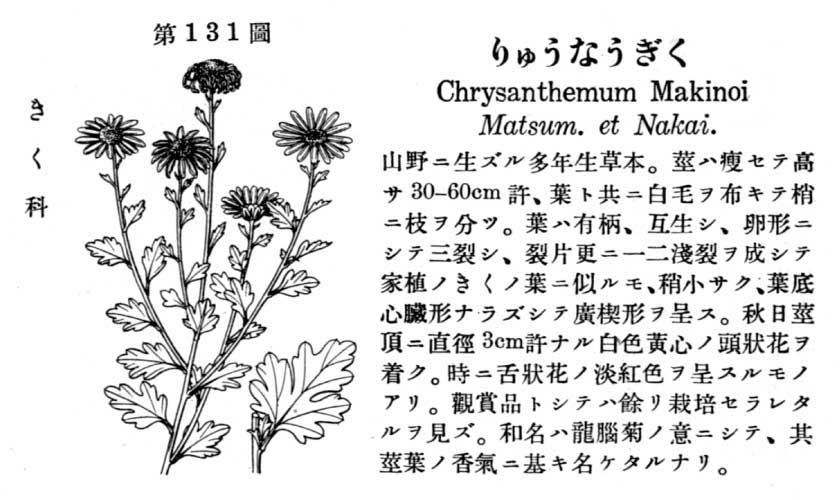 植物図鑑