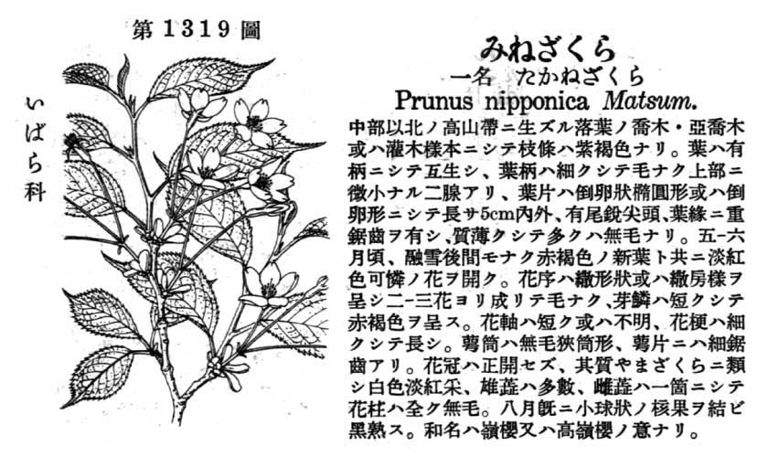 植物図鑑