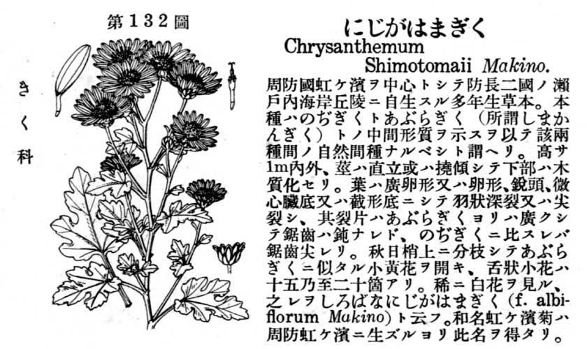 植物図鑑