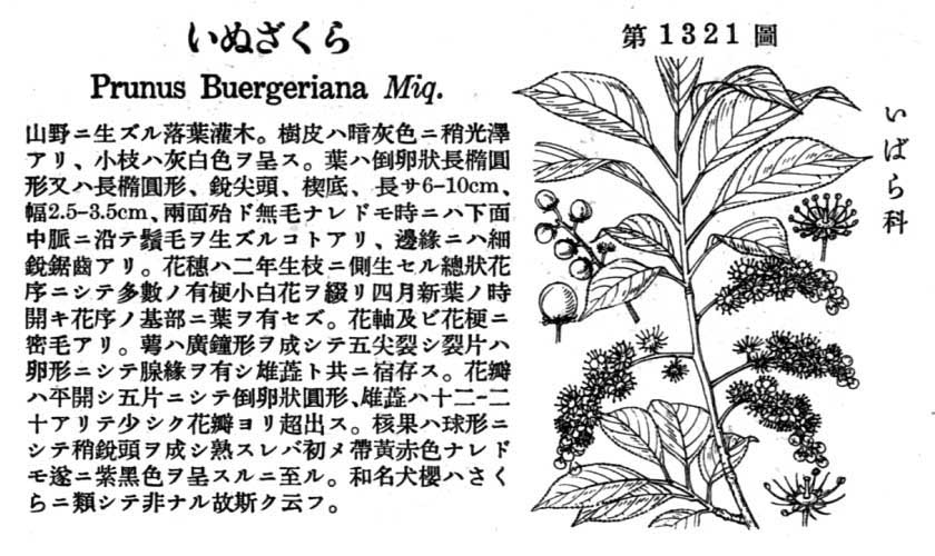 植物図鑑