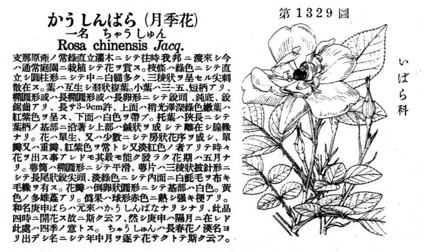 植物図鑑